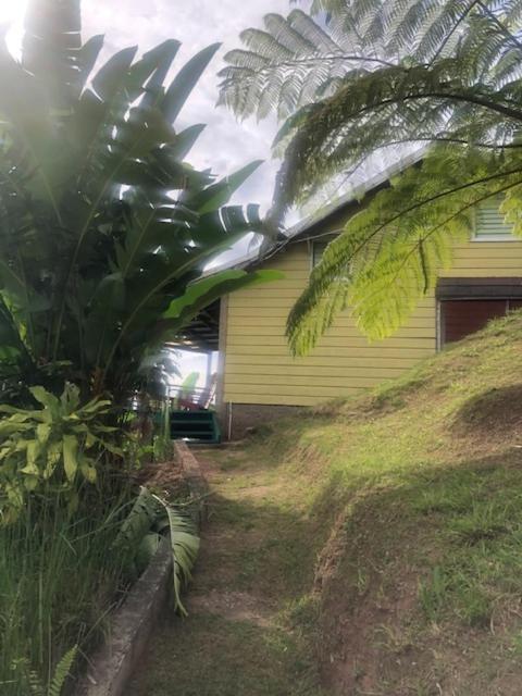 Ginger Lodge Cottage, Peters Rock, Woodford Po St Andrew, Jamaica - This Property Is Not In Jacks Hill คิงส์ตัน ภายนอก รูปภาพ
